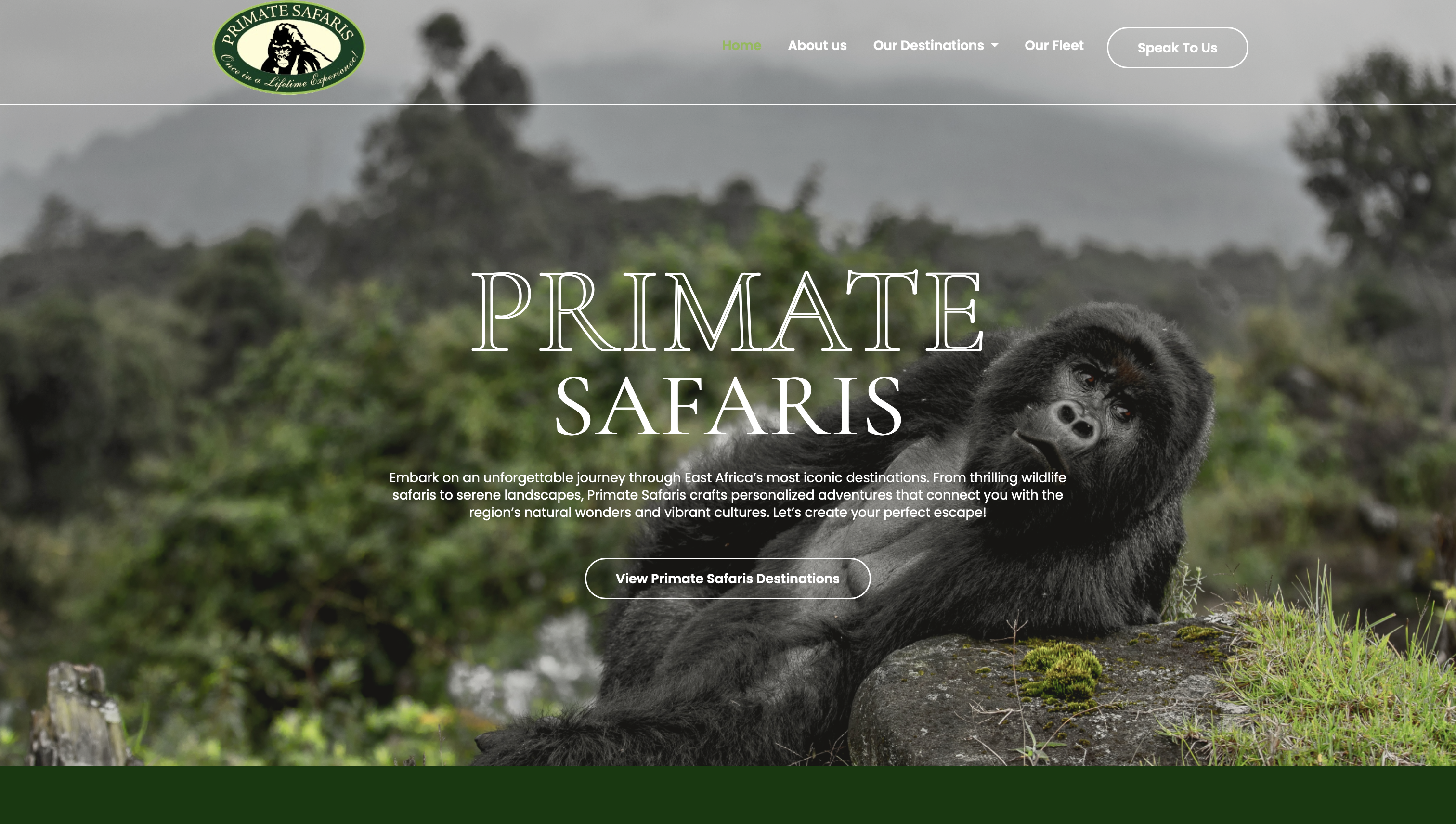 Primate Safaris
